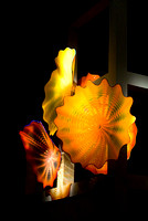 Chihuly - De Young Exhibition